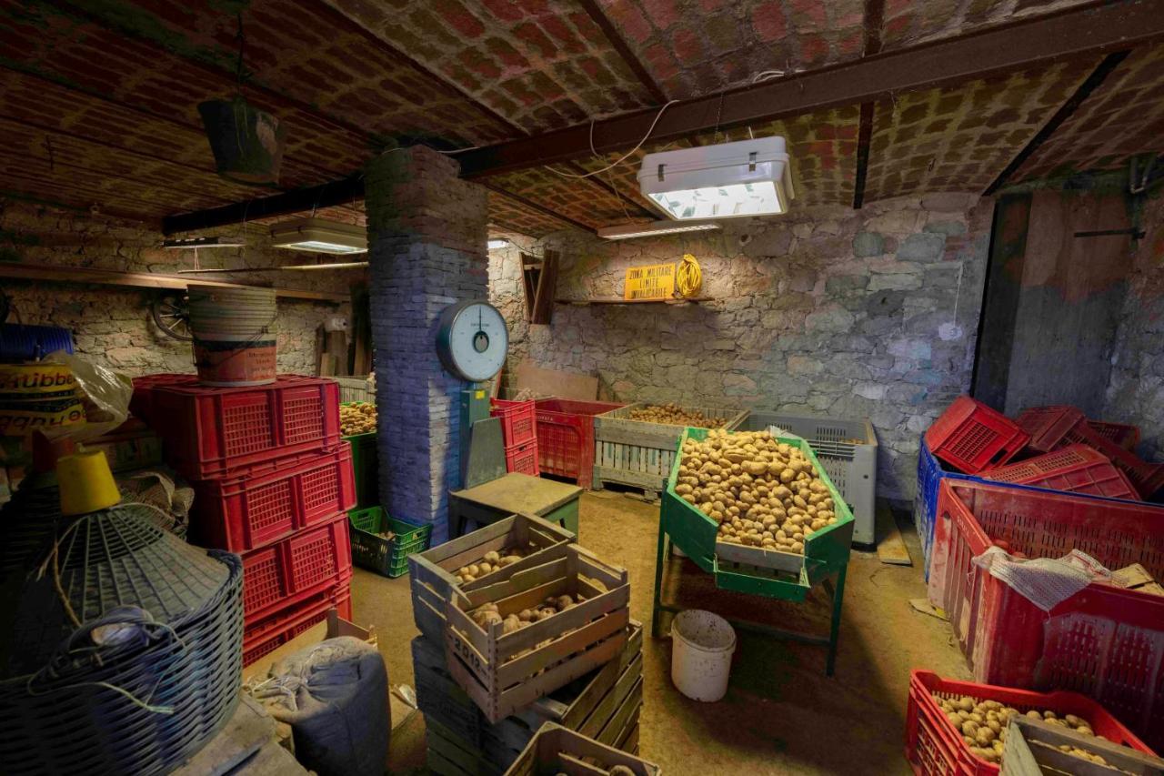 Podere P Ratizzoli II Piano Толе Экстерьер фото
