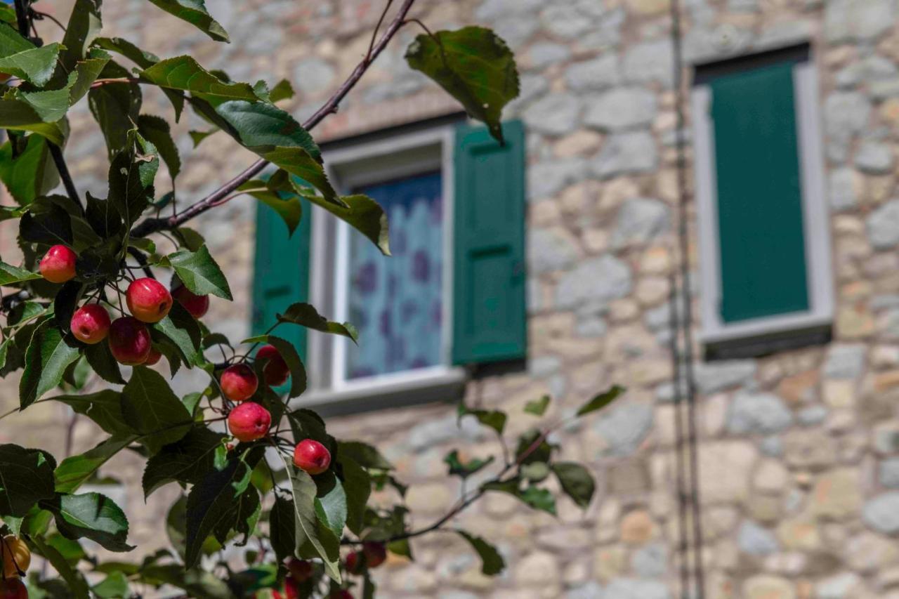 Podere P Ratizzoli II Piano Толе Экстерьер фото